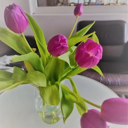 Kurhaus Uhlenberg Hotel Bad Muenstereifel