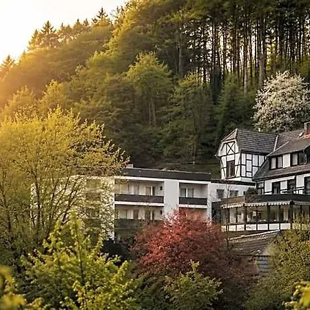Hotel Wellness Uhlenberg 4*