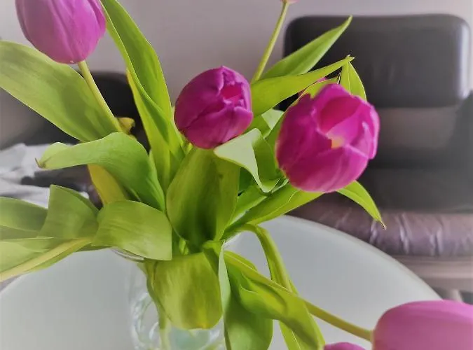 Kurhaus Uhlenberg 호텔 바트 뮌스터아이펠